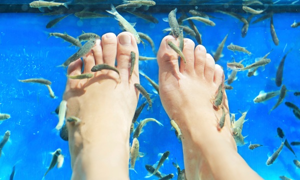 fish spa