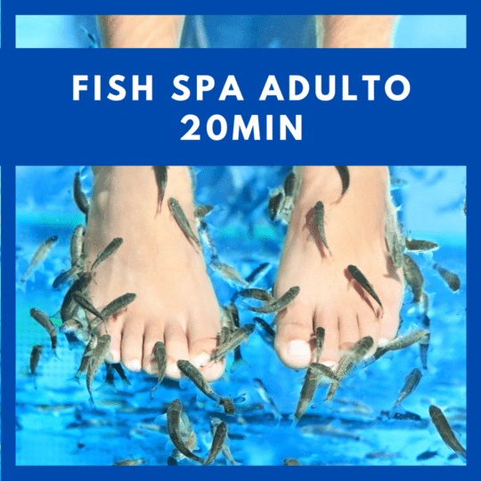 fish spa salou, fish spa Lloret de mar, fish spa peñiscola